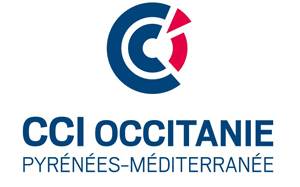 cci_occitanie_py-med_vertical_10.2017-1-min